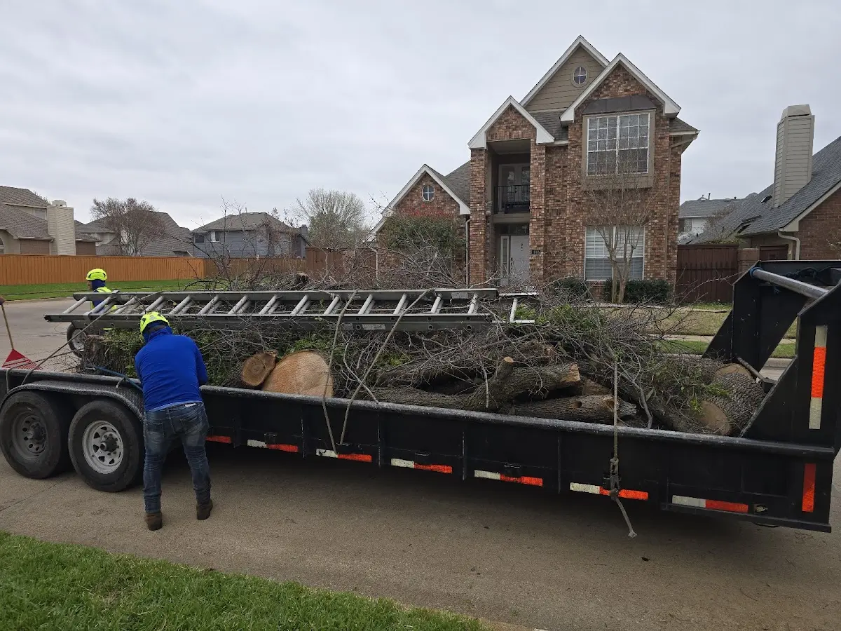 Expert Lot Clearing with proper safety equipment in Newhall